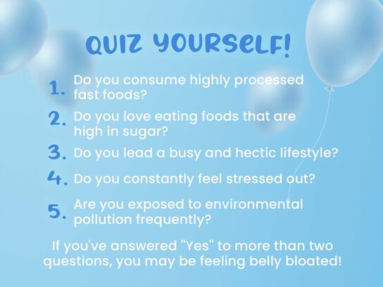 Xndo Feel Belly Light Bundle - Quiz Yourself 