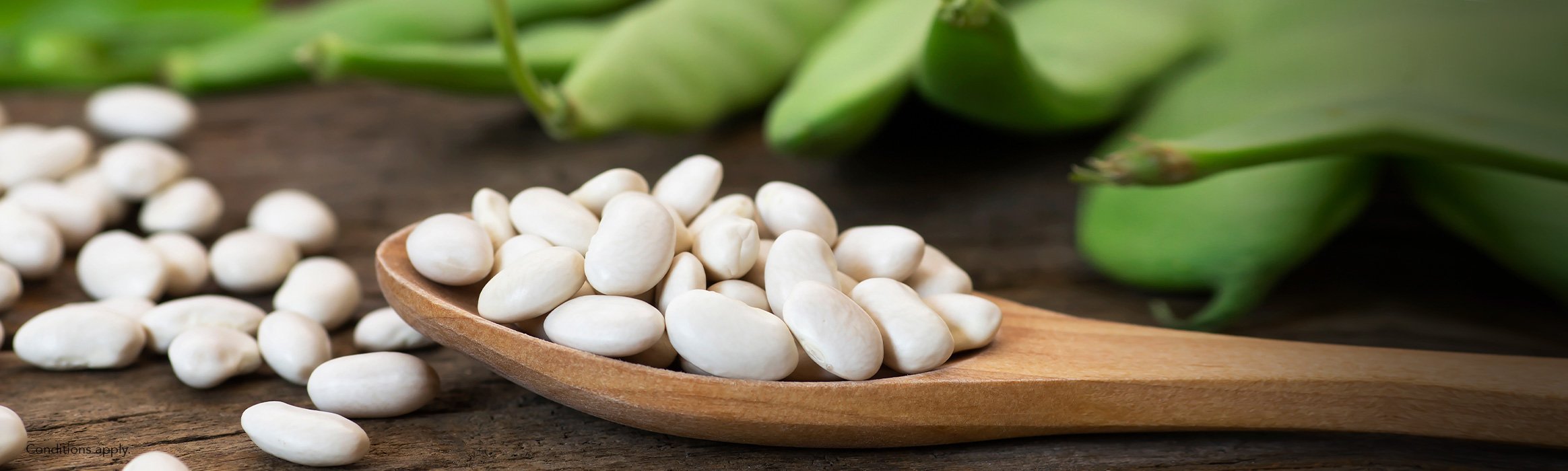 White Kidney Bean XNDO Singapore